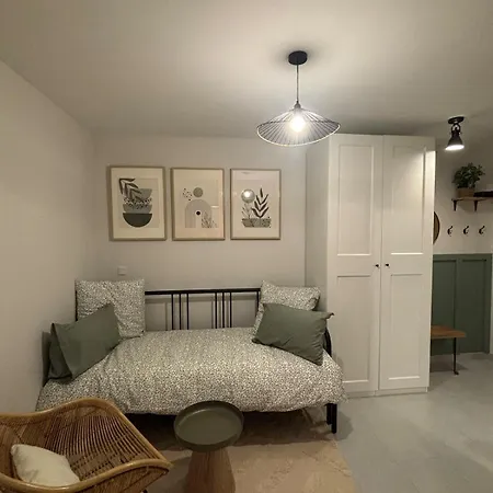 Apartment Echappee Dijonnaise - Cosy Au Coeur Du Centre Dijon